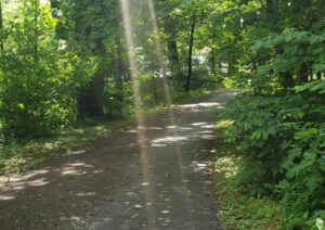 Trail in Cumberland Gap